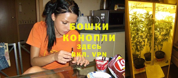 спиды Абаза