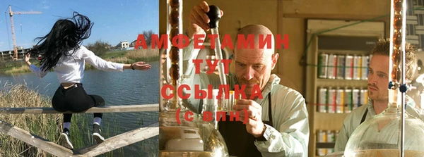 спиды Абаза