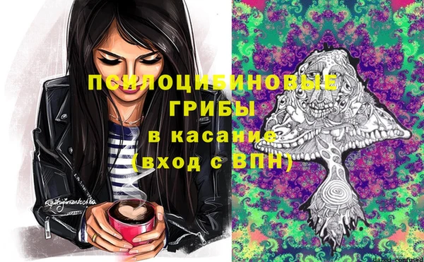 спиды Абаза