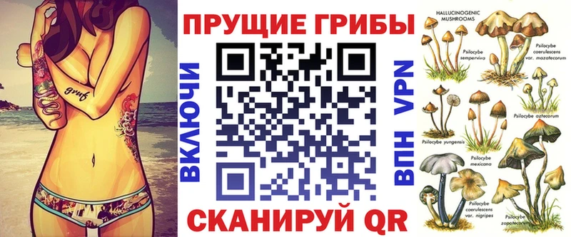 Галлюциногенные грибы Psilocybine cubensis  ОМГ ОМГ рабочий сайт  Ахтырский 
